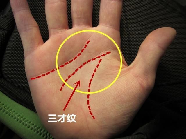 手有三才纹,一生富贵寿全,天纹好,婚姻好,地纹好,长寿命哦!