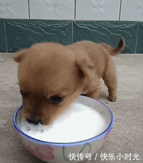 搞笑gif:你哭着对我说,武侠里都是骗人的