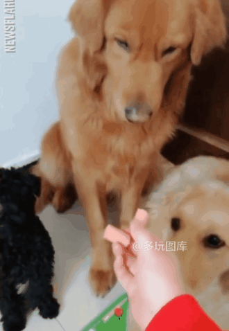 水,现在敢喝冰红茶了,还是一晚上买两瓶,甚至吃泡面要加根香肠和卤蛋