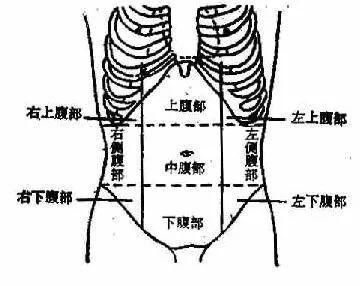 2,左下腹(左髂):乙状结肠,女性的左侧卵及输卵管,淋巴後.