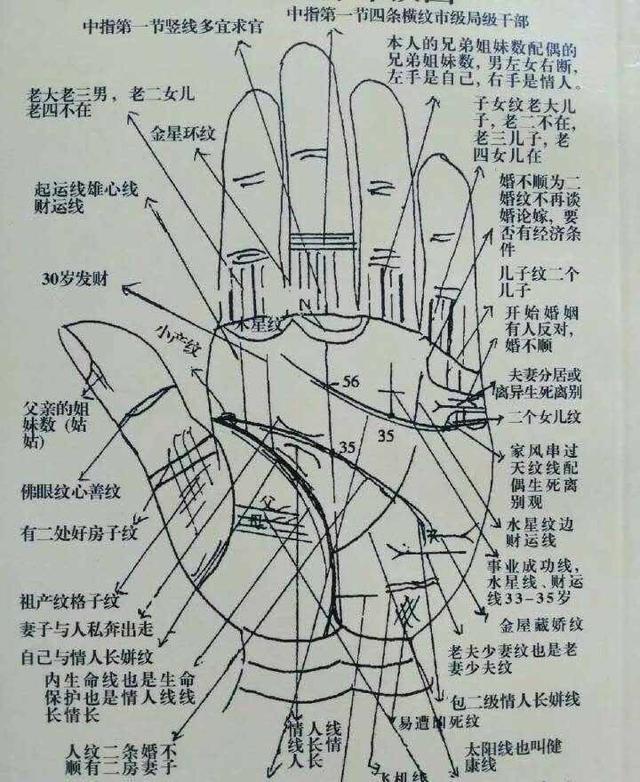 算命大师分析大拇指纹路对于命相的影响