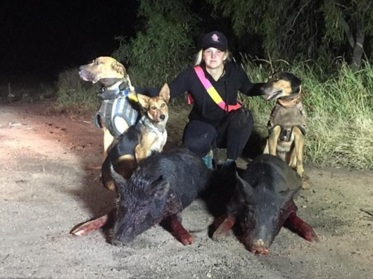 美女与野兽:澳洲女猎手流行打野猪