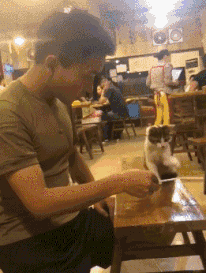 爆笑gif:爸爸,我劝你以后还是安分一点吧-北京时间