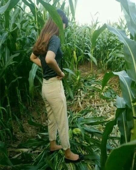 媳妇,你不会干庄稼活,就别老去玉米地里了,玉米都被你