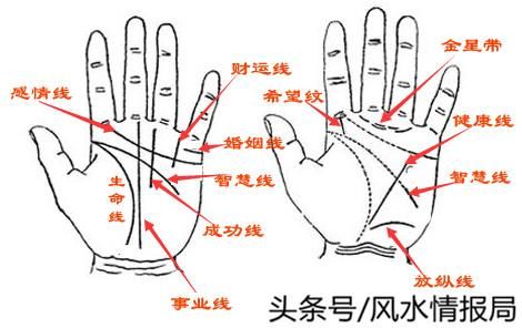 手相算命分析时,双手皆有其重要之处,一般右撇子是左主右辅,左撇子是