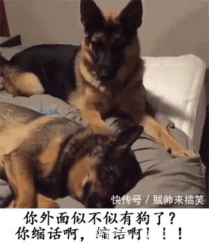 狗大哥我稀罕你,做我的男人吧!