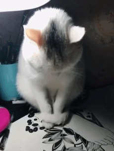 搞笑gif:酸爽的撕皮,胆小勿看