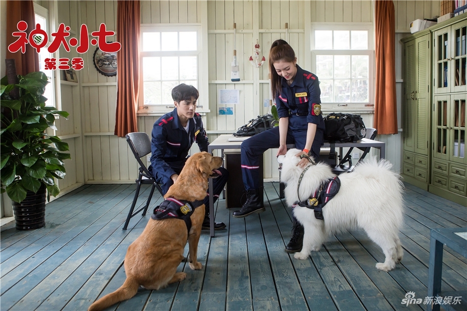 《神犬小七3》曝新剧照 姜潮宋妍霏cp