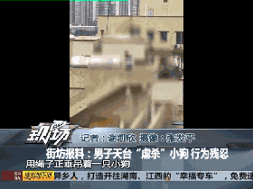 有人听到惨叫声后 对男子大声呵斥, 男子竟哈哈大笑, 最后狗窒息而死