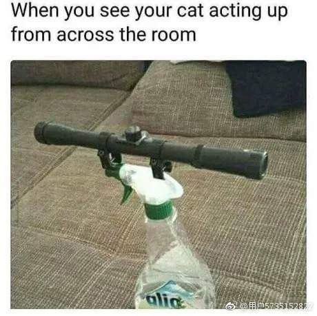 加了八倍镜
