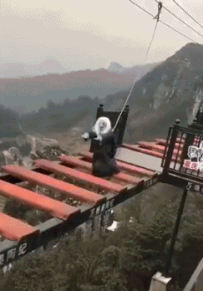 6,在这个桥上cos僵尸,心该有多大?