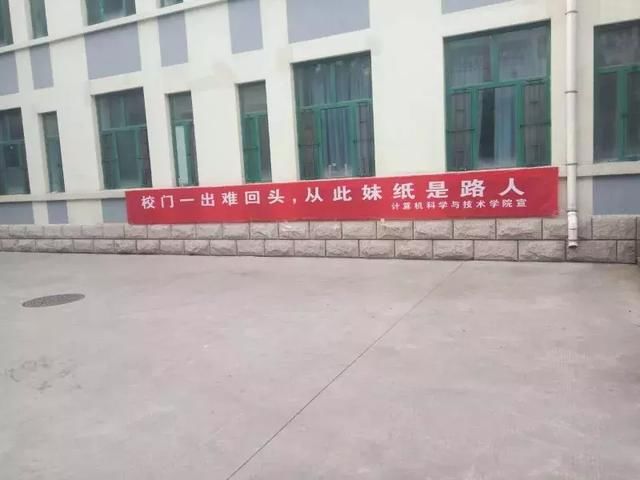山理工毕业条幅火了,惊艳!搞笑!扎心!