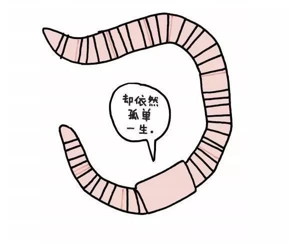 蚯蚓(earthworm)有5颗心脏.