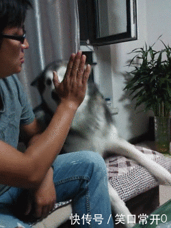 搞笑幽默的动态图gif 美女萌萌的 大家一起养眼