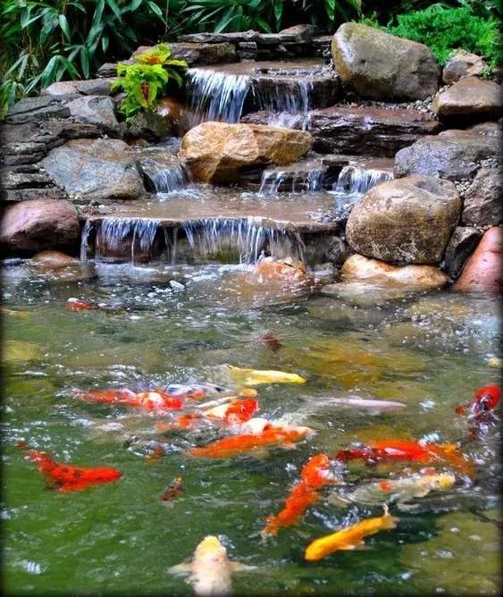 家庭园艺|庭院花园里的自然水池,这样来做 水景可以这样造!