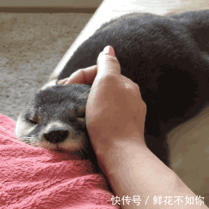 爆笑gif动图:啥也不说了,就这回头的瞬间,我就非她不娶
