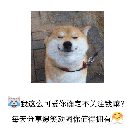 搞笑gif,年轻人,作死无极限啊