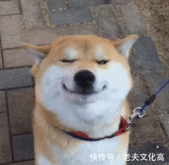 搞笑gif: 我说他偷吃屎了, 他就用这个表情对我