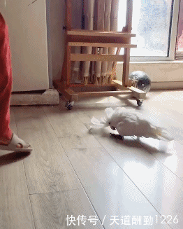 6. 这才是灵魂的舞者,步步都跟在点上