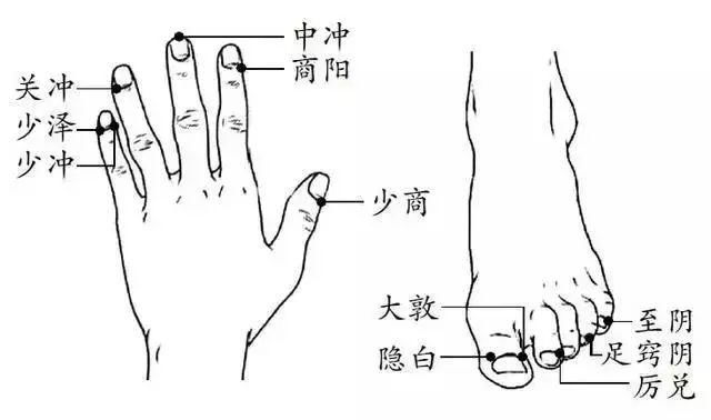 手指尖和脚趾尖是人体十二条经络的起点.