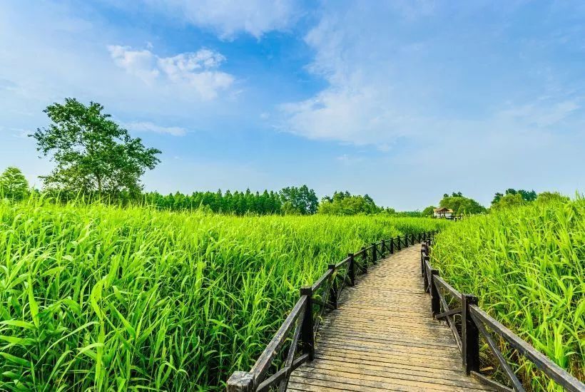 是崇明岛西部水上游乐度假区和西部生态农业观光旅游的主要区域