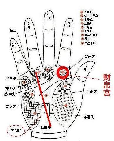 不管男人女人 ,大人还是小孩,最过关心的就是自己财运如何了,自己这