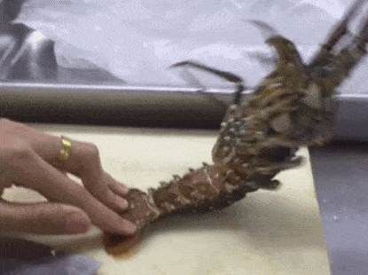 搞笑gif趣图:美女,你这蹲着多难受,找个小凳也行啊!