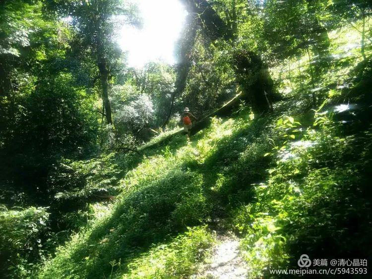 昆明走进自然户外:探密广通雕翎山