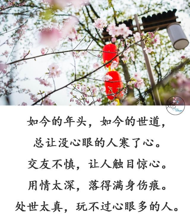 献给所有没心眼的实在人!(句句入心)