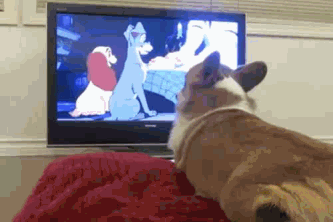 看个动画片,单身贵族都要受到万点伤害.