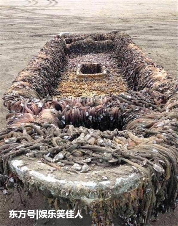 看着都恶心!