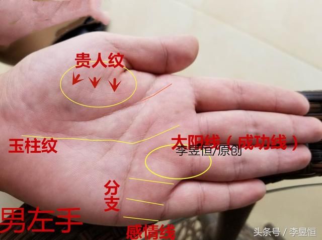 第三,三线德配,右手玉柱纹明显清晰,暗示事业有成之相.