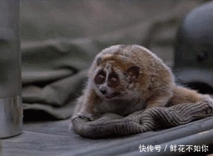 爆笑gif动图:火山喷发的瞬间,真能吞没一切