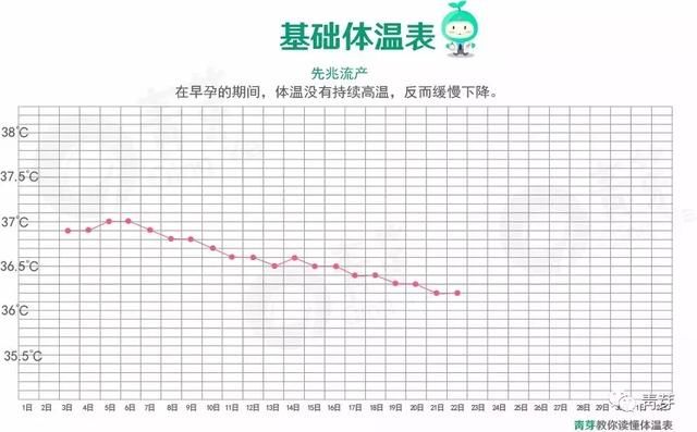 基础体温曲线图四:先兆流产 如果基础体温的温度在孕早期渐渐下降和