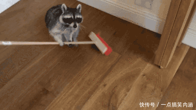 搞笑gif图:俺养的葫芦娃终于长大了,那些欺负过我的人