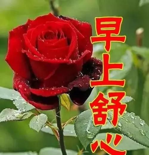 女人节到了,送你十二颗心,为你带来好运和吉祥!