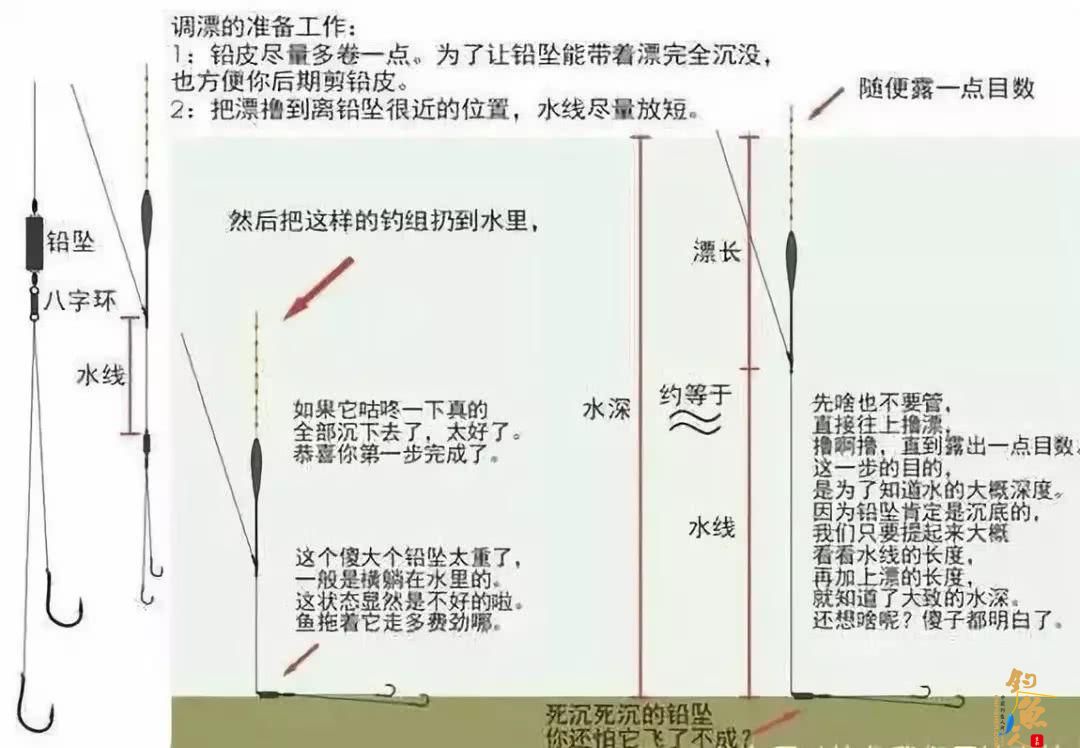 钓鱼调漂精确找底,一看就会