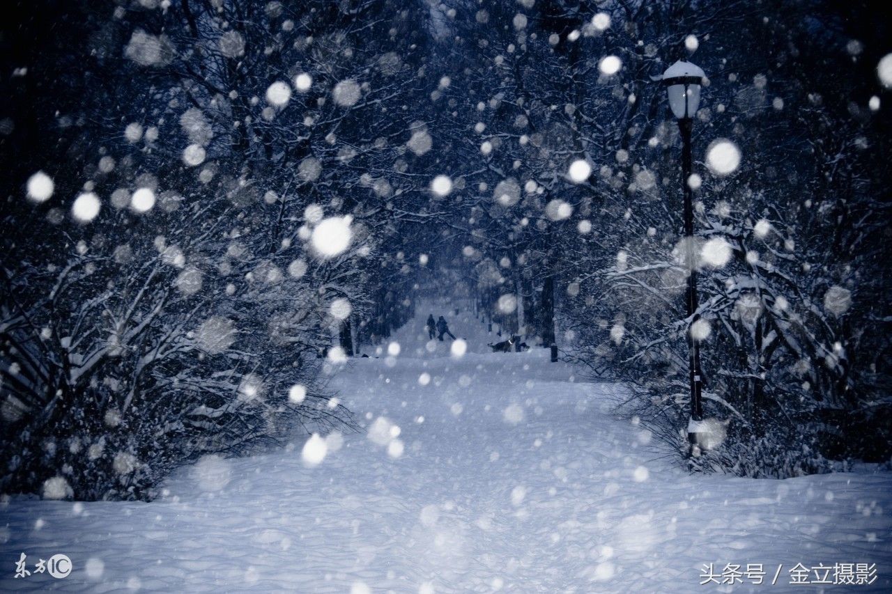 如何拍好飘雪照片?一共4个摄影技巧,这样拍更唯美,更诗意!