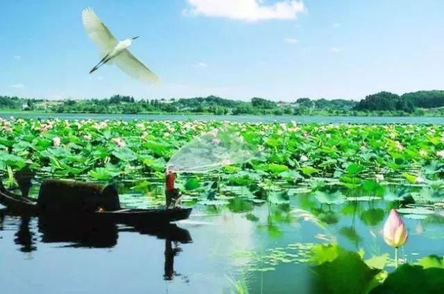 您听过《洪湖水浪打浪》,那您知道现在洪湖市是怎样一