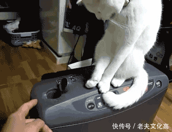 搞笑gif: 姑娘你这是骑的单车吗, 应该是火箭吧!
