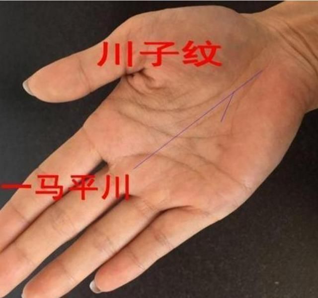 千万看准了,"这种"手相的人,看似普通,实则是亿万富翁