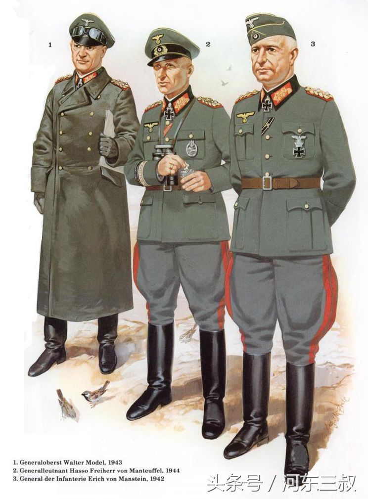 二战德军知名将帅服饰图谱