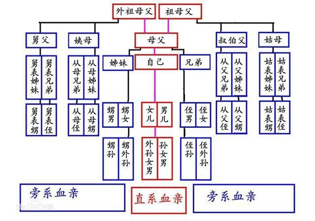 盈科西安律师事务所张莹向记者解释道,我国现行法律关于亲属关系远近