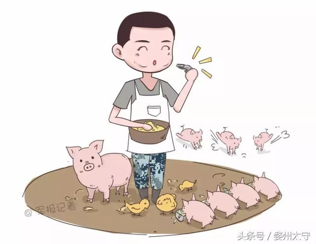 饲养员