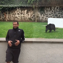 爆笑gif:我齐天大圣何时怕过你哮天犬-北京时间