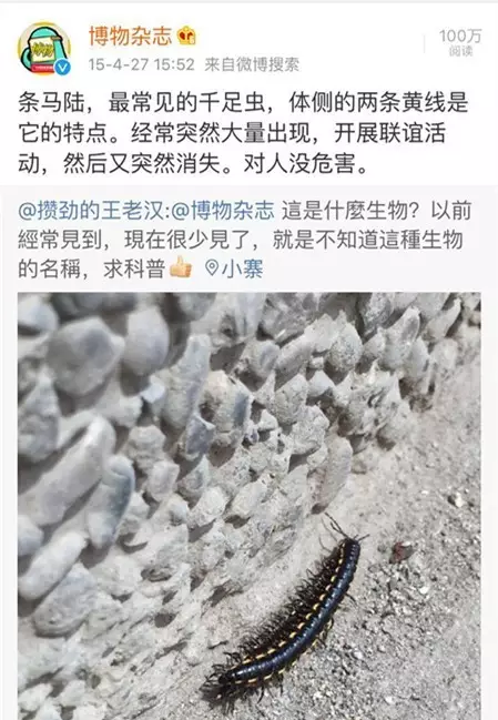 杭州一地铁口出现大量爬虫!乘客尖叫跳着跑过