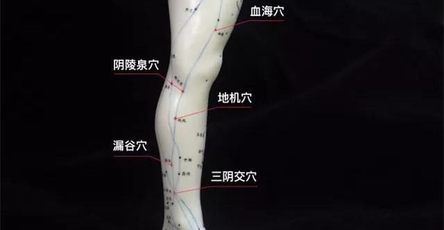 这时不应找具体某一穴位,只是揉整个小腿内侧的脾经.