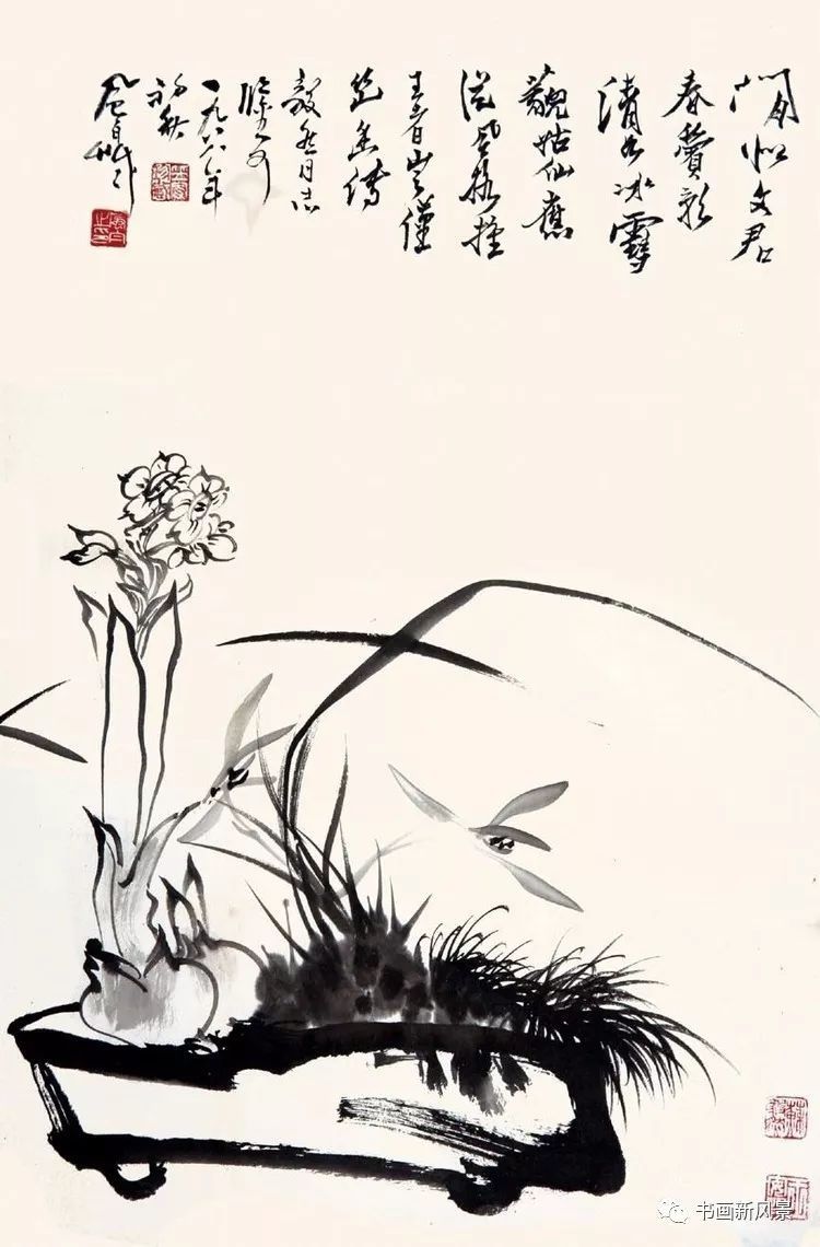 蒋风白兰花水仙