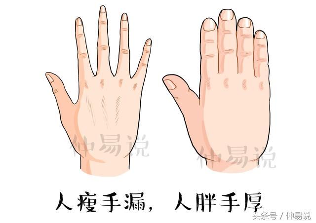 一,人瘦手漏,人胖手厚 瘦的人手指有缝隙属于常态,和身形匹配,而胖的