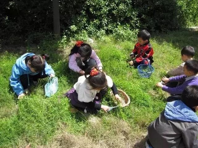 拿个小铲子漫山遍野的寻找, 不就是最美好的童年记忆吗~ 赶快拿着